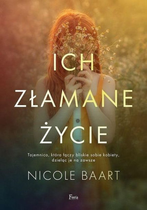 Ich złamane życie Nicole Baart