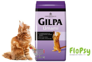 Sucha karma dla kota Gilpa Umami ADULT - na wagę!