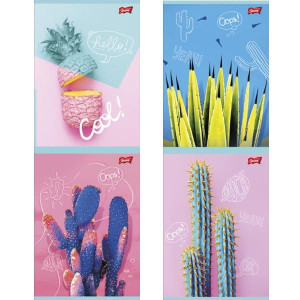 PROMO Zeszyt A5 60k linia lam. p10 CACTI folia soft touch, lakier miejscowy