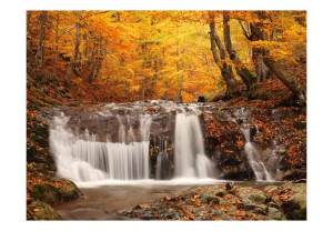 Fototapeta - Autumn landscape : waterfall in forest [Rozmiar: 350X270]