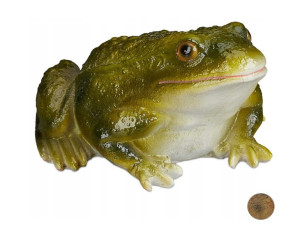 Żabka Figurka Ogrodowa Dekoracja Ozdoba Jak Żywa