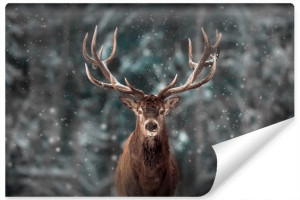 Fototapeta Ścienna JELEŃ Zwierzę Zimowy Pejzaż Śnieg Natura 3D 360x240cm