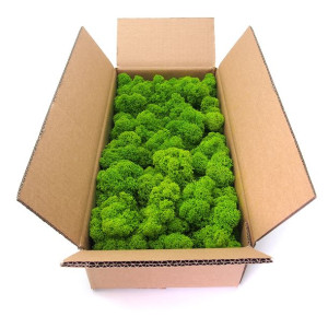 Mech chrobotek fiński jasnozielony 500g