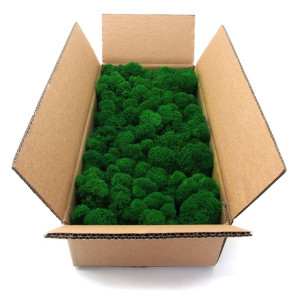 Mech chrobotek fiński zielony 500g