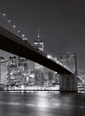Fototapeta Flizelinowa Brooklyn Ny Most 192x260