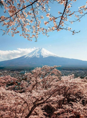 Fototapeta Flizelinowa Góra Fuji Japonia 192x260