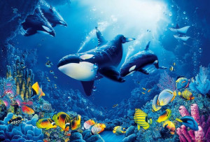 Fototapeta Flizelinowa Ocean Rafa Koralowa 384x260