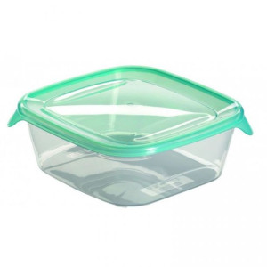 Plastikowy pojemnik FRESH & GO 0,8L CURVER