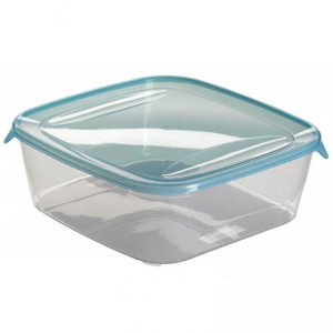 Plastikowy pojemnik FRESH & GO 2,9L CURVER