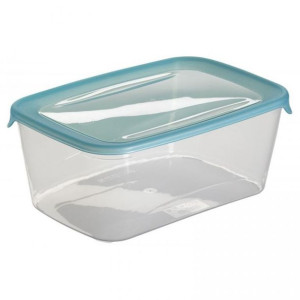 Plastikowy pojemnik FRESH & GO 3L CURVER