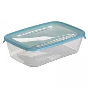 Plastikowy pojemnik FRESH & Go 2L CURVER