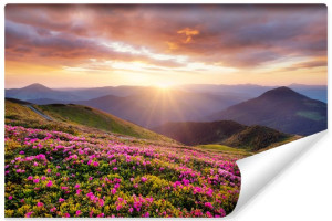 Fototapeta ZACHÓD SŁOŃCA w Górach Kwiaty Pejzaż Natura Widok 3D 270x180cm