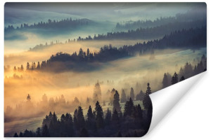 Fototapeta Dekoracyjna LAS WE MGLE Drzewa Natura Pejzaż Efekt 3D 400x280cm