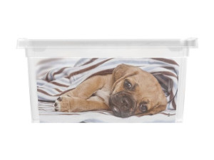 Box KIS Puppy and Kitten - XXS