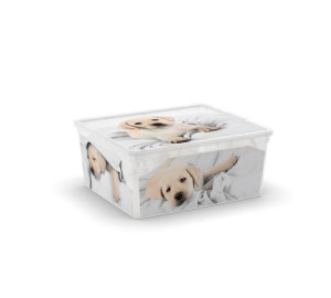 Pudełko plastikowe KIS Puppy and Kitten - M