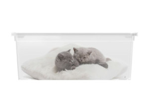 Pudełko plastikowe KIS Puppy and Kitten - S