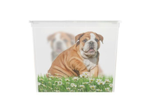 Pudełko plastikowe KIS Puppy and Kitten - XL