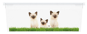 Pudełko plastikowe KIS Puppy and Kitten - XS