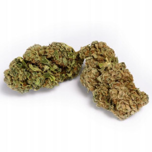 Susz Konopny Cbd Black Widow 2g Real Cannabis