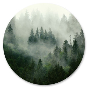 Fototapeta w Kole DRZEWA Mgła Las Krajobraz 3D Wzór Do Sypialni 100x100cm