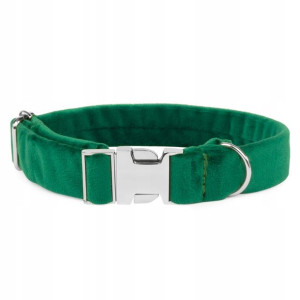 Obroża Welurowa Dla Psa Zielona 2 Cm M
