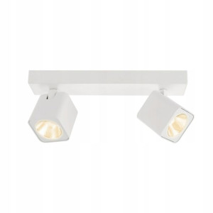 Italux Reflektor Spot Aveiro Biały SPL-31981-2B-WH