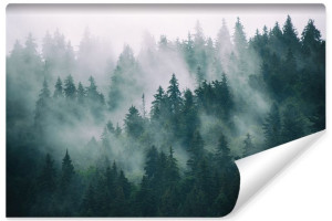 Fototapeta DRZEWA Las We Mgle Natura Krajobraz 3D NA WYMIAR