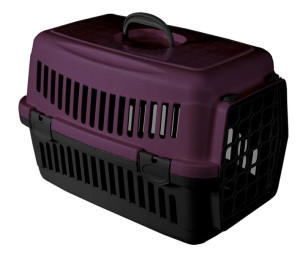 Transporter Dla Kota Psa Królika Kolory Do 12kg