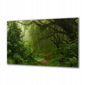 Obraz na szkle Natura 78653109 140x70