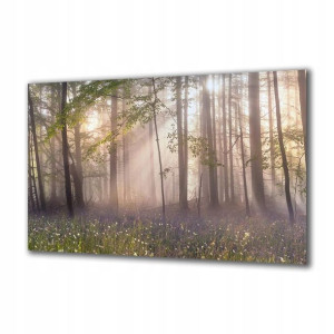 Obraz na szkle Natura 75207995 140x70