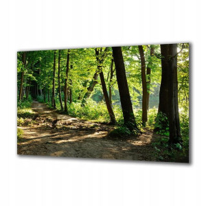 Obraz na szkle Natura 89440501 140x70