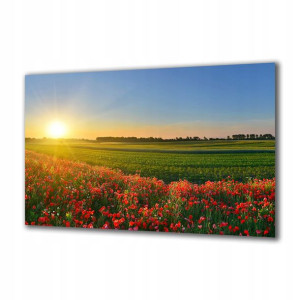 Obraz na szkle Natura 85477995 140x70