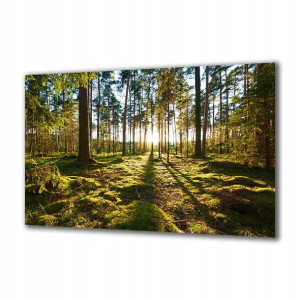 Obraz na szkle Natura 92027264 125x50