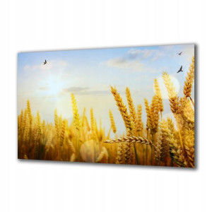 Obraz na szkle Natura 87967651 125x50