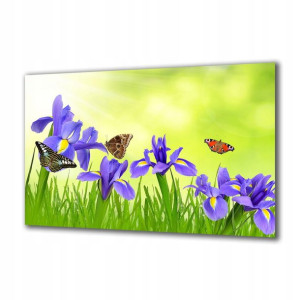 Obraz na szkle Natura 74373550 125x50