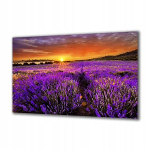 Obraz na szkle Natura 66255723 125x50