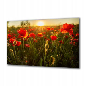 Obraz na szkle Natura 85192852 120x60