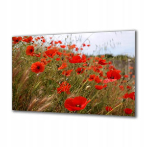 Obraz na szkle Natura 84991643 120x60