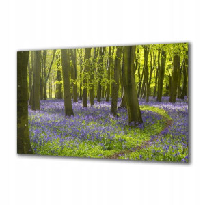 Obraz na szkle Natura 82879930 120x60