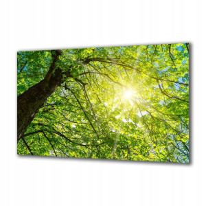 Obraz na szkle Natura 82297600 100x50