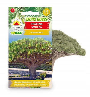 Toraf Nasiona Dracena Smocza 5szt