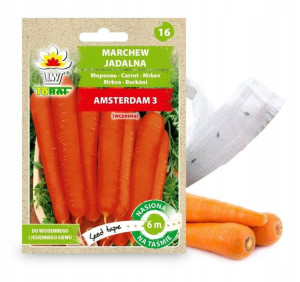 Toraf Nasiona Na Taśmie Marchew Amsterdam 3 6m