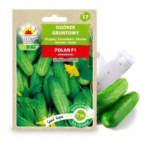 Toraf Nasiona Na Taśmie Ogórek Polan 7m