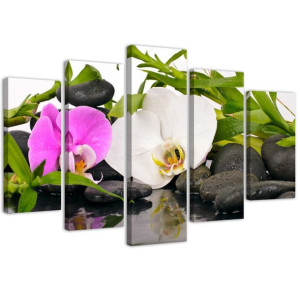 OBRAZ DO SALONU Orchidea Kamienie Bambus 100x70