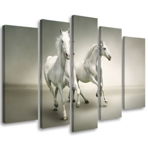 OBRAZ 5 CZĘŚCI Białe Konie Galop Zwierzęta 100x70