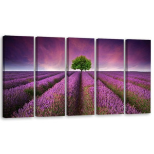 OBRAZ DO SALONU Fioletowe Kwiaty Łąka 150x60