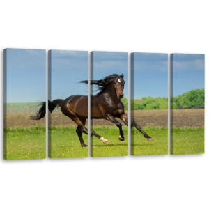 OBRAZ 5 CZĘŚCI NA PŁÓTNIE Koń Galop Łąka 100x40