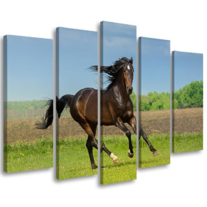 OBRAZ 5 CZĘŚCI NA PŁÓTNIE Koń Galop Łąka 200x100