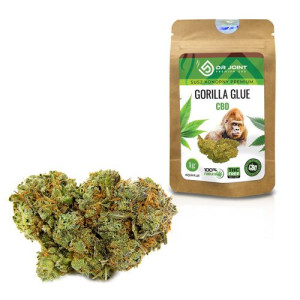 Dr Joint Susz Konopny Gorilla Glue Cbd 1g