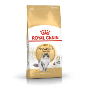 ROYAL CANIN Norvegian Forest Cat Adult karma sucha dla kotów dorosłych rasy